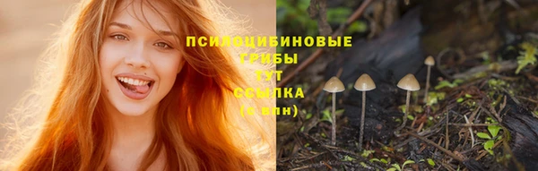мяу мяу мука Алзамай