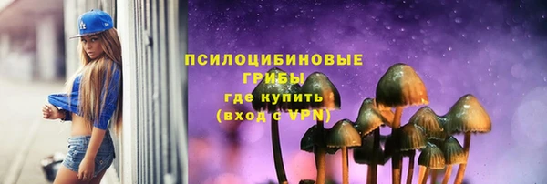 мяу мяу мука Алзамай
