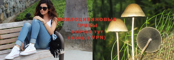 spice Абинск