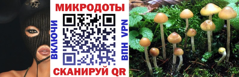 Псилоцибиновые грибы Cubensis  OMG ТОР  Нижний Тагил 